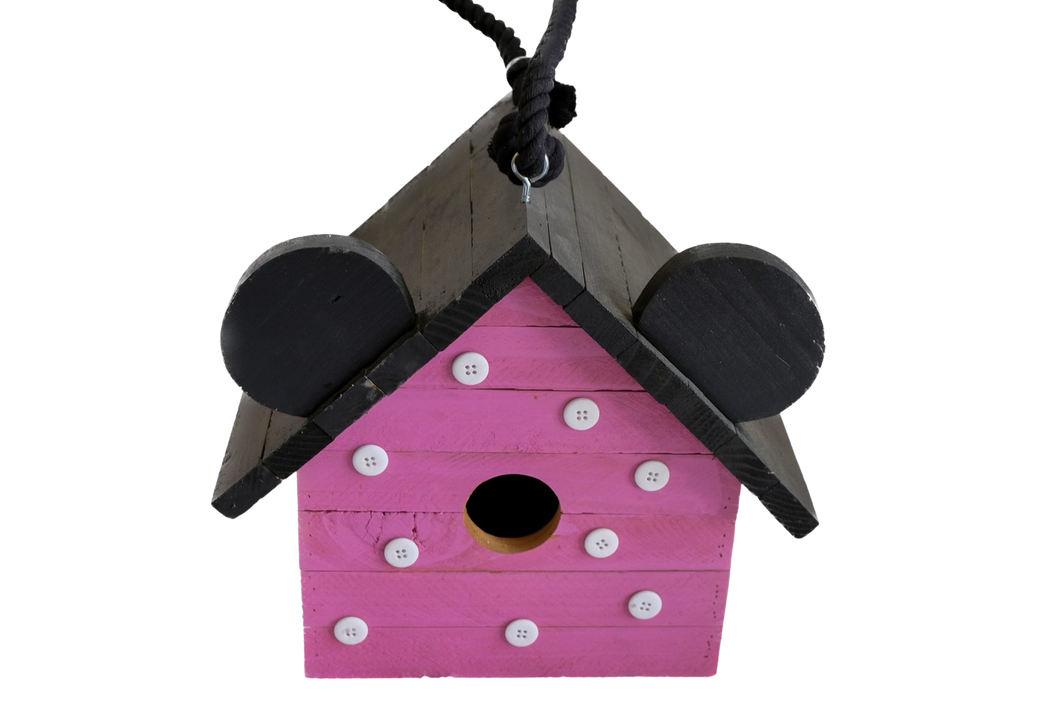 Character Bird House